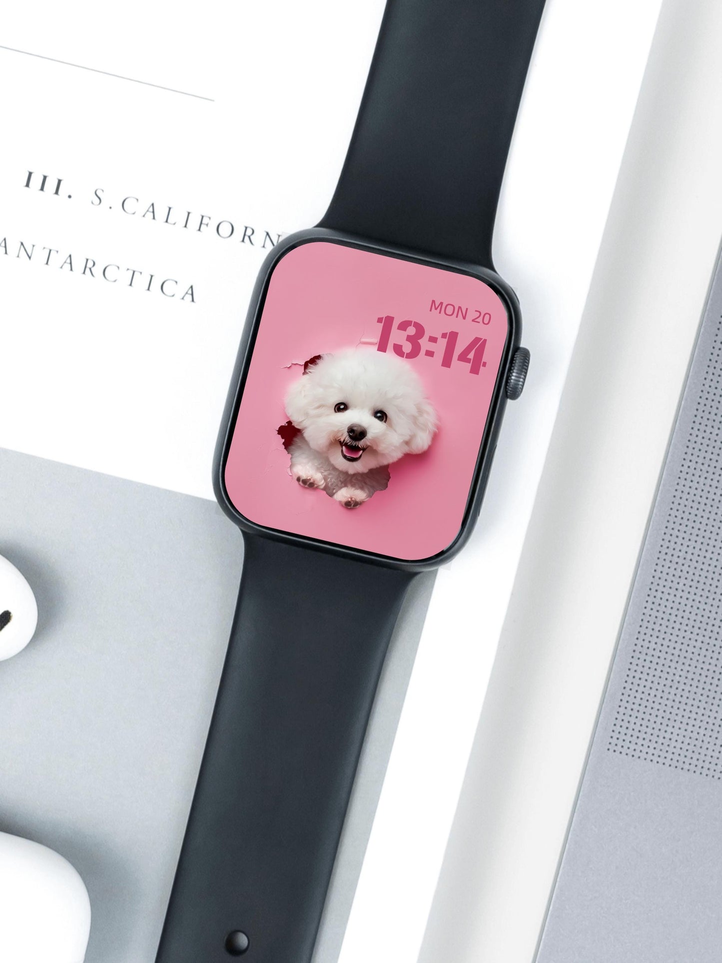 Bichon Frise Puppy Wallpaper Set - Pink Purple Backgrounds for Phone Tablet and Smartwatch - Adorable Dog Lock Home Screen