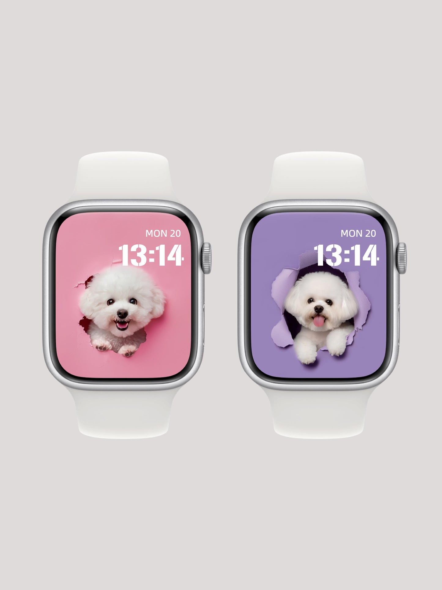 Bichon Frise Puppy Wallpaper Set - Pink Purple Backgrounds for Phone Tablet and Smartwatch - Adorable Dog Lock Home Screen